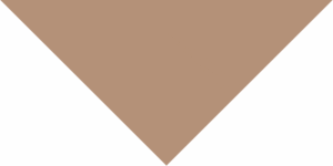 A large downward-pointing Bandana triangle in a muted brown color is placed against a white background creating a simple and minimalistic visual contrast.