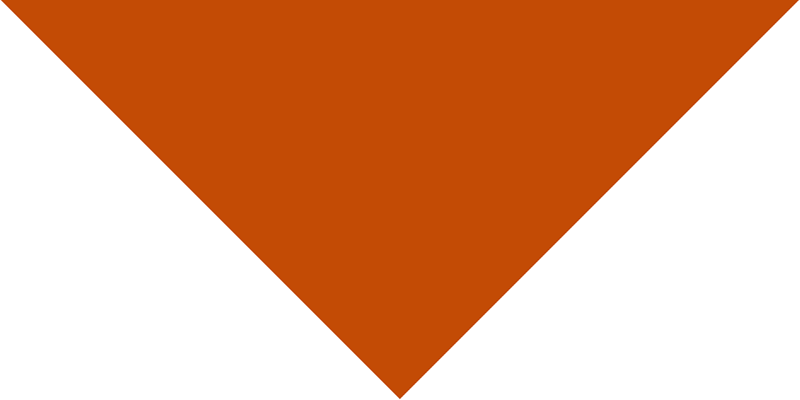12pcs Burnt Orange (Rust) Pet Triangle Solid Bandana, Imported, 100% Cotton