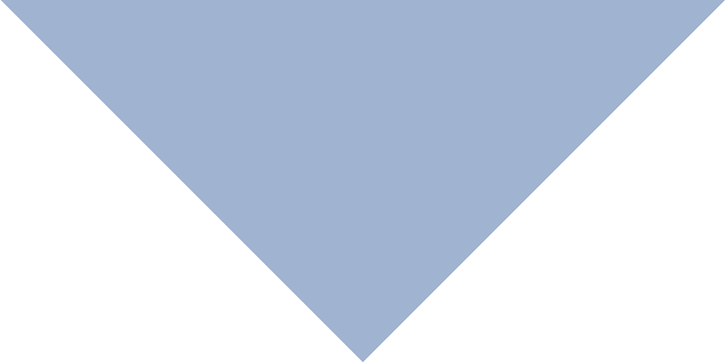 600pcs Light Blue Pet Triangle Solid Bandana, Imported, 100% Cotton