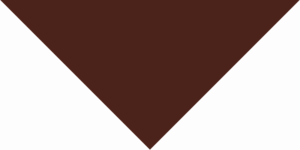 A large downward-pointing triangular shape in a dark brown color is centered against a white background creating a stark contrast and minimalist appearance