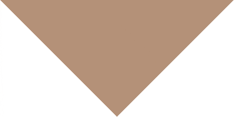 Triangle Import 100% cotton A large downward-pointing Bandana triangle in a muted brown color occupies the center of a plain white background creating a stark visual contrast and emphasizing the triangle's shape and color.