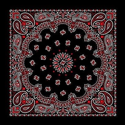 1pc Black/Red/White American Made Western Paisley Bandanas - 100% Cotton - 22x22 Inches