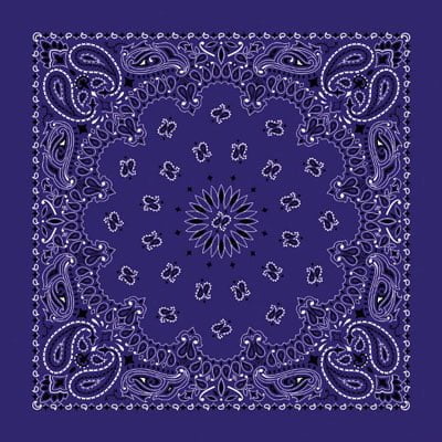 1pc Purple / Grape Open Center Paisley Handkerchiefs - USA - 100% cotton