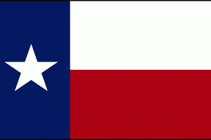 Texas Flag - 3ft x 5ft Polyester - Imported