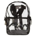 A transparent backpack with black straps and zipper compartments sits upright showcasing its interior structure and logo on the front demonstrating a modern  minimalist design suitable for various settings.