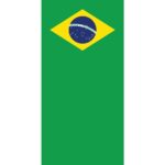 A rectangular flag with a green background features a large yellow diamond shape containing a blue globe and white stars along with the text "ORDEM E PROGRESSO" across the globe.