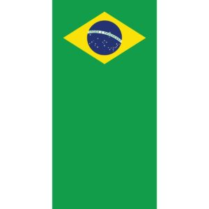A flag features a green field with a yellow diamond shape containing a blue globe. The globe displays white stars and a banner with the text "ORDEM E PROGRESSO" across it.