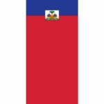 A flag with a blue top section and a red bottom section displays a coat of arms at the center featuring a palm tree surrounded by various symbols representing Haiti.