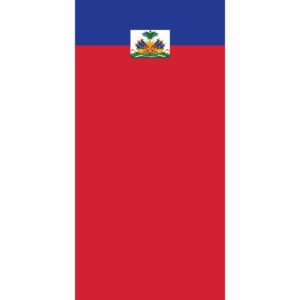 A flag with a blue top section and a red bottom section displays a coat of arms at the center featuring a palm tree surrounded by various symbols representing Haiti.