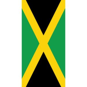 A rectangular flag features a diagonal yellow cross dividing three sections: black at the top and bottom and green on the left and right sides  symbolizing Jamaican heritage and culture.