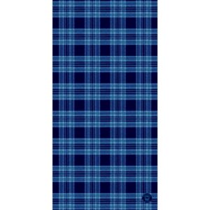 A blue plaid fabric features dark blue and light blue lines forming a grid pattern against a solid dark background creating a textured appearance suitable for clothing or upholstery.
