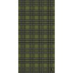 A green plaid fabric features alternating dark and light green squares bordered by black and white lines creating a repetitive symmetrical pattern suitable for clothing or upholstery.