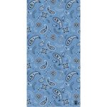 A repeating pattern of paisley motifs and floral designs in black and white is set against a light blue background creating a decorative textile appearance suitable for fabric use.