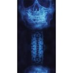 A blue X-ray image of a human skull positioned above a spinal column displaying vertebrae set against a dark background highlighting the bone structures and their details