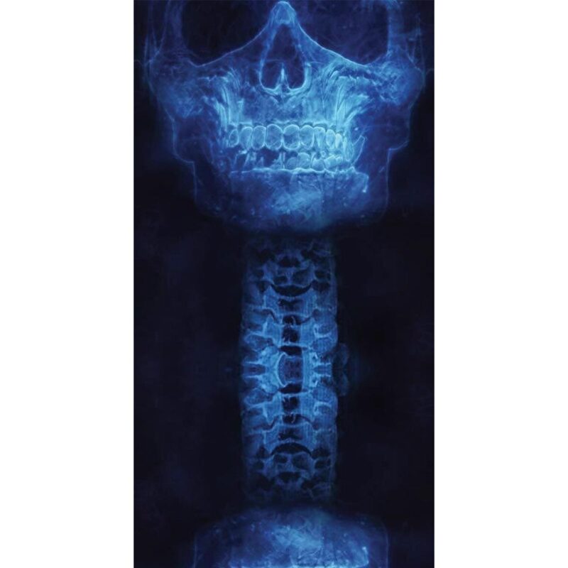 XRAY Skull and Spine Tube Headband A blue X-ray image of a human skull positioned above a spinal column displaying vertebrae set against a dark background highlighting the bone structures and their details