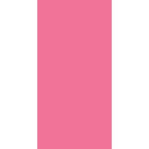 A solid pink rectangle occupies the left half while the right half remains white suggesting a minimalist design or art piece positioned against a plain backdrop.