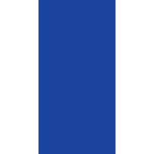 A solid blue rectangle occupies the central area with a white vertical strip on the left side creating a simple two-tone design that emphasizes color contrast and symmetry