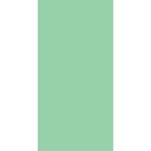 A solid light green rectangle occupies the majority of the space against a white background creating a simple and minimalistic visual contrast suitable for various design contexts.