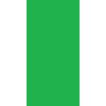 A green rectangle bordered by white on the left represents a simple flag design with no text or symbols present creating a clean and minimalist appearance.