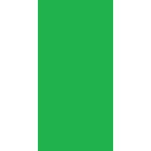 A green rectangle bordered by white on the left represents a simple flag design with no text or symbols present creating a clean and minimalist appearance.