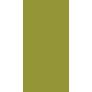 A solid green rectangle stands alone against a white background creating a minimalist contrast without any additional elements or text present in the composition.