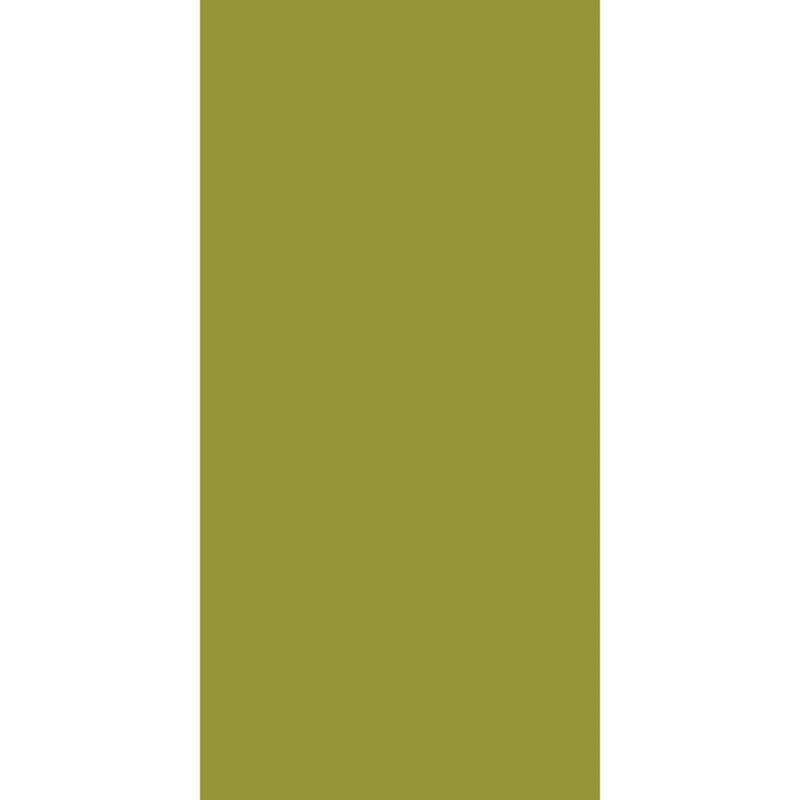 Solid Color Tube Headband A solid green rectangle stands alone against a white background creating a minimalist contrast without any additional elements or text present in the composition.