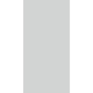 A blank gray canvas occupies the space with no discernible objects actions or context visible inviting contemplation or interpretation of its minimalist appearance.