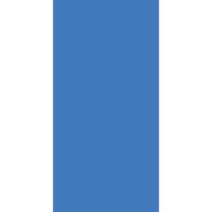 A solid blue silhouette of a person is positioned centrally against a white background suggesting a minimalist design that emphasizes the human figure while maintaining simplicity in composition