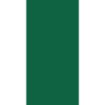 A green vertical rectangle is displayed alongside a white vertical rectangle creating a simple flag-like appearance without text or additional context.