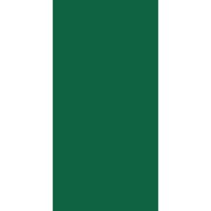 A green vertical rectangle is displayed alongside a white vertical rectangle creating a simple flag-like appearance without text or additional context.