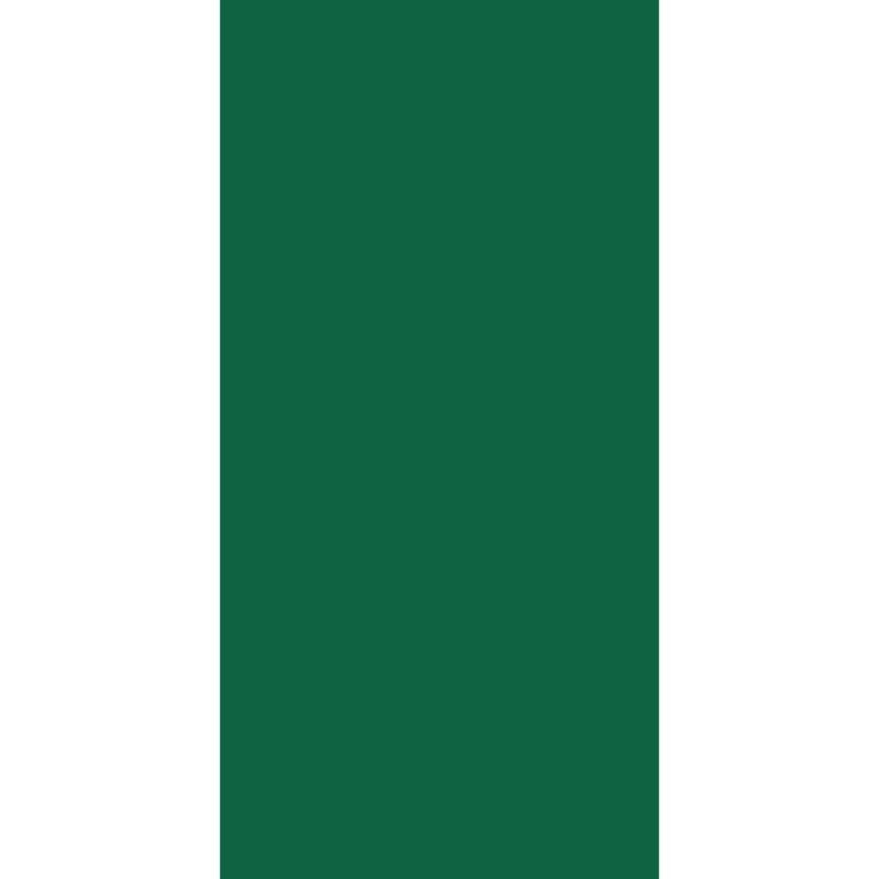 Solid Color Tube Headband A green vertical rectangle is displayed alongside a white vertical rectangle creating a simple flag-like appearance without text or additional context.