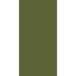 A solid olive green silhouette of a military figure stands upright with arms at the sides in front of a plain white background.
