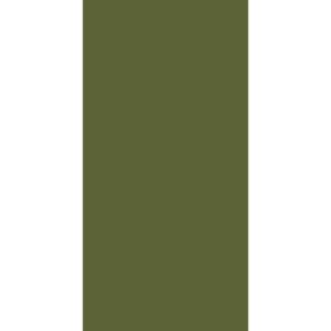 A solid olive green silhouette of a military figure stands upright with arms at the sides in front of a plain white background.